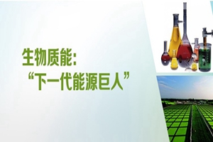生物質(zhì)發(fā)電簡(jiǎn)析